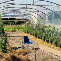 Potager de Hors Champs