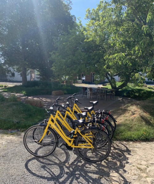 Visite de la région en vélo sur demande