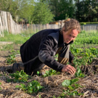 Le potager de Hors Champs