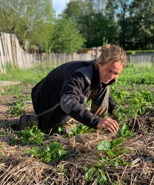 Le potager de Hors Champs